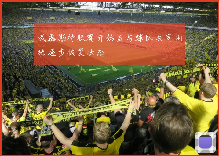 武磊期待联赛开始后与球队共同训练逐步恢复状态