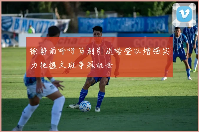 徐静雨呼吁马刺引进哈登以增强实力把握文班争冠机会