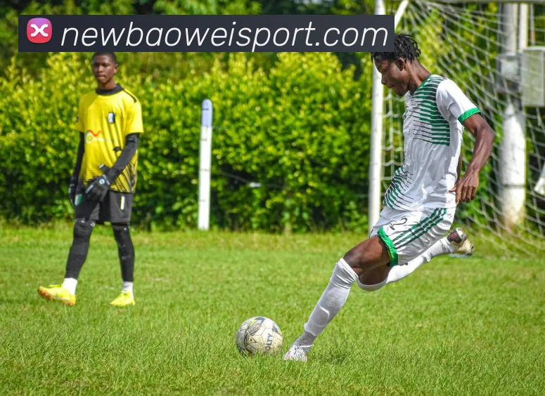 App Interface Preview