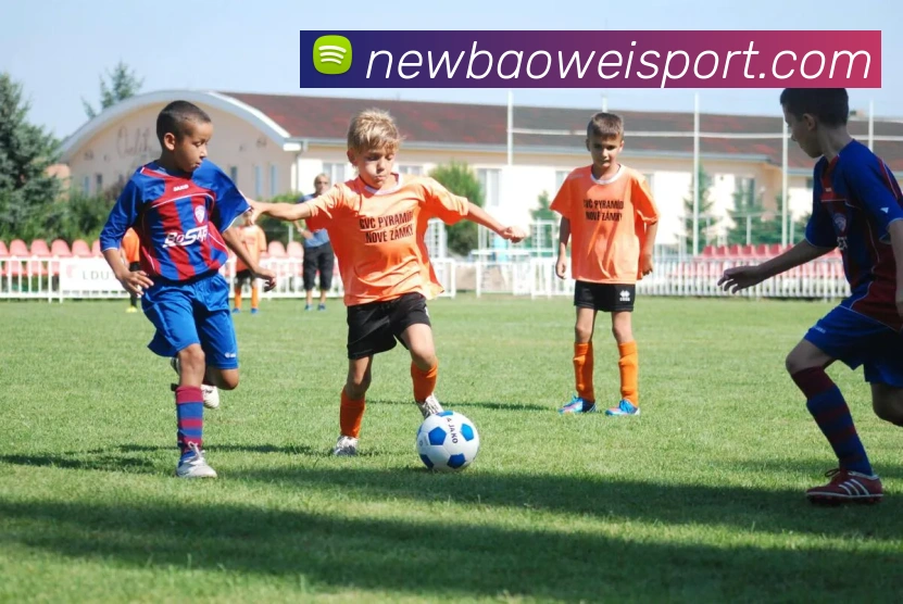 宝威体育APP 封面图